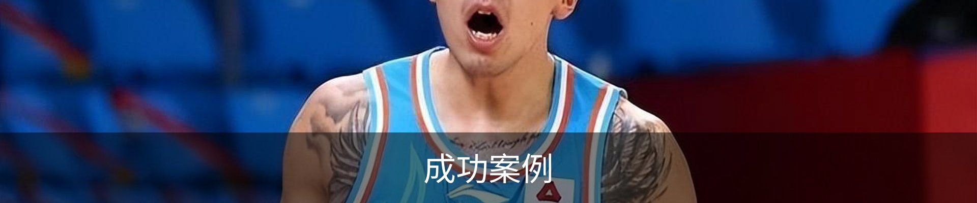 成功案例